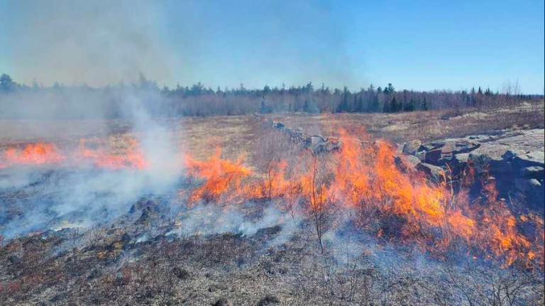 A Zombie Fire is Obstructing Your Change